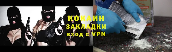 амф Верея