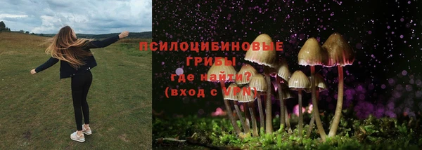 амф Верея