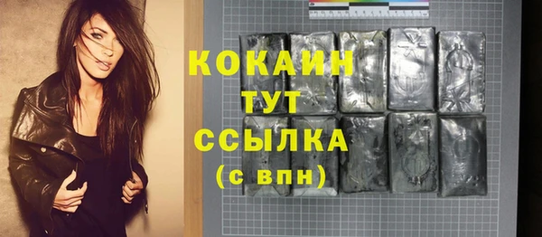 амф Верея