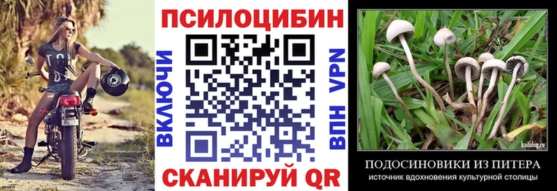 OMG как зайти Губкин Псилоцибиновые грибы прущие грибы
